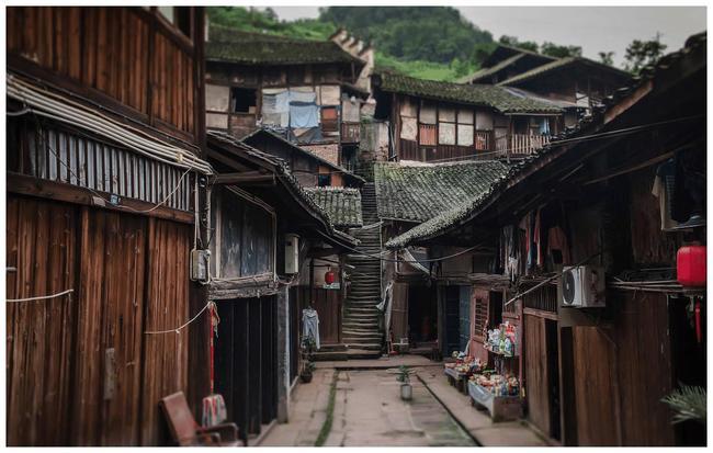 【法门寺】冬的深处，正酝酿着春天